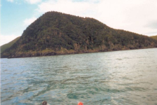 575: Red Island. "The Big Head". (2002) [courtesy of Heather Walsh]
